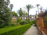 Sevilla_Alcazar_Gärten