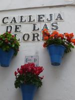 Cordoba Blumengasse mit Alpenveilchen