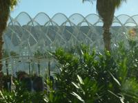 Valencia Stadt der Wissenschaften und Kunst_Stadtgarten