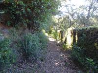 Castano del Robledo (15)