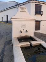 Castano del Robledo (18)