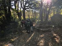 Castano del Robledo (21)