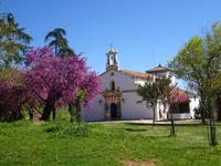 Virgen de los Angeles (1)