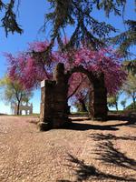 Virgen de los Angeles (7)