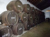 Bodega Saenz (2)