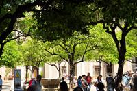 Sevilla - Dom mit Glockenturm Giralda (UNESCO Weltkulturerbe)