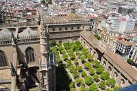 Sevilla - Aufstieg auf den Glockenturm Giralda (UNESCO Weltkulturerbe)