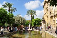 Cordoba - Mezquita