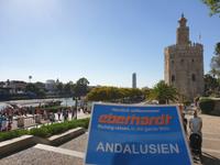 Torre del Oro in Sevilla