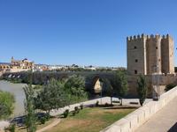 Tagesausflug und Stadtrundgang durch Cordoba