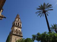 Besichtigung der Mezquita-Catedral von Córdoba
