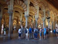 Besichtigung der Mezquita-Catedral von Córdoba