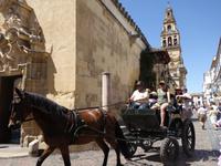Tagesausflug nach Cordoba - Stadtrundgang