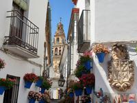 Tagesausflug nach Cordoba - Stadtrundgang
