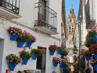 Tagesausflug nach Cordoba - Stadtrundgang