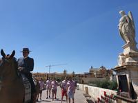 Tagesausflug nach Cordoba - Stadtrundgang