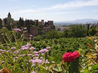 Besichtigung von Alhambra Festung in Granada als Tagesausflug (10)