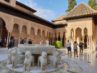 Besichtigung von Alhambra Festung in Granada als Tagesausflug