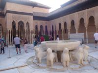 Besichtigung von Alhambra Festung in Granada als Tagesausflug (86)