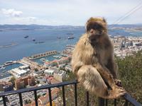 Tagesausflug nach Gibraltar (29)
