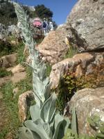 Auf geht's zum Wandern!