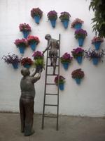 Blumenfest in Córdoba