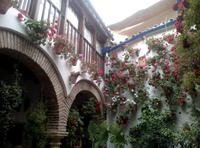 Blumenfest in Córdoba