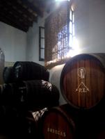 Im Sherry-Lager in Jerez