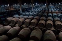 In einem Meer aus Fässern