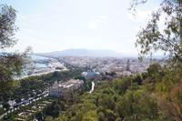 Blick auf Málaga und seinen Hafen