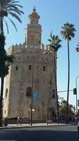 Torre del Oro Sevilla 