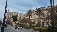 Kathedrale Sevilla