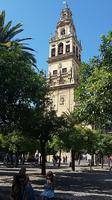 Cordoba Mezquita Kathedrale 