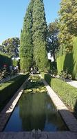 Generalife Alhambra Granada 