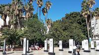 Malaga 