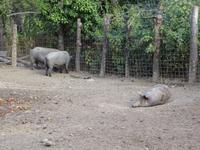 Sierra de Aracena (3)