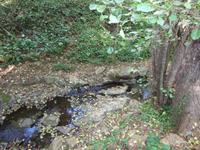 Sierra de Aracena (12)