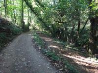 Sierra de Aracena (13)