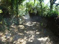 Sierra de Aracena (29)