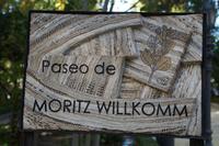 Honoration für den sächsischen Botaniker Heinrich Moritz Willkomm