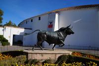 Jesús mag diesen Stier nicht: Der Schweif zu hoch, der Nacken zu dick, die Beine im falschen Winkel...