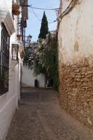 Üppige Blumepracht, Gasse in Ronda 