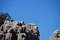 ...wenden uns den Rücken zu