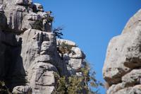 Jetzt wird gefressen