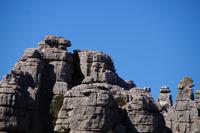 Wer entdeckt den Steinbock?