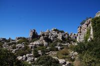 beeindruckende Karstlandschaften im Torcal