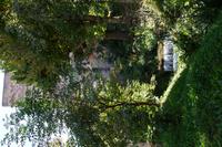 Fließendes Wasser an der Cuesta de los Chinos, hinter der Alhambra 