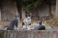 Irgendwie schläfrig