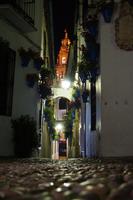 Blumengasse mit Kathedralturm bei Nacht