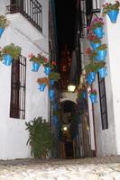 Blumengasse bei Nacht